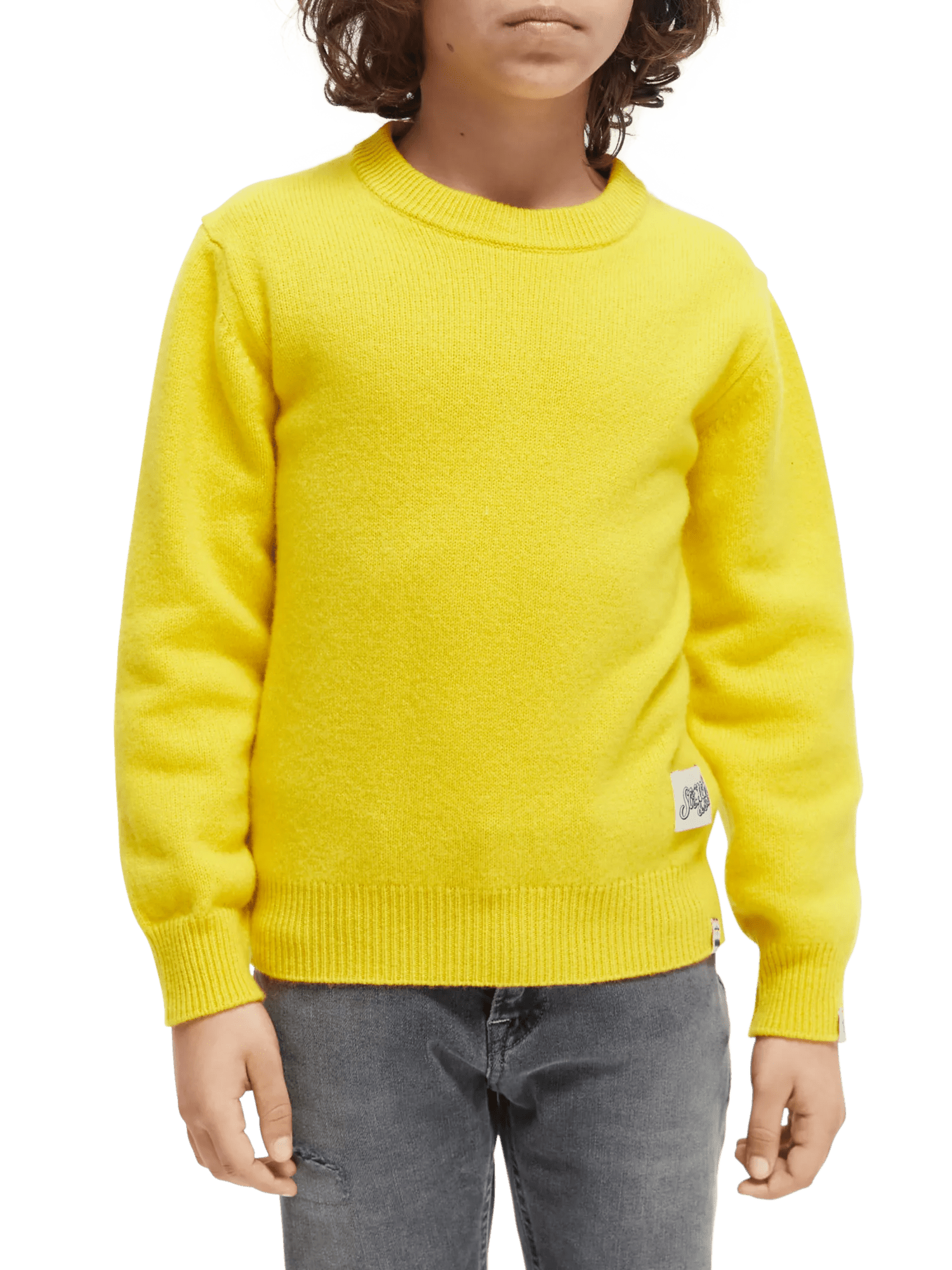 Scotch & Soda Wool-blended crewneck sweater NHD-CRP