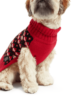 Scotch & Soda Fair isle dog sweater NHD-CRP