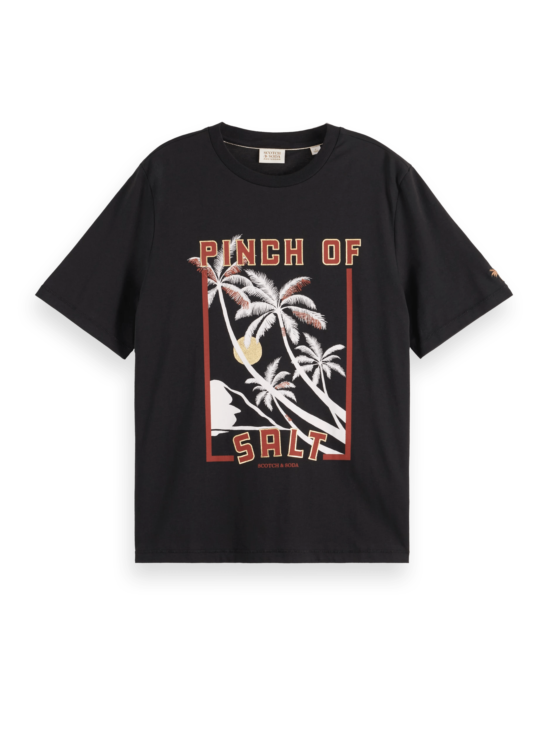 Scotch & Soda Relaxed fit graphic Tee FNT