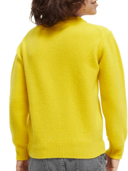 Scotch & Soda Wool-blended crewneck sweater NHD-BCK