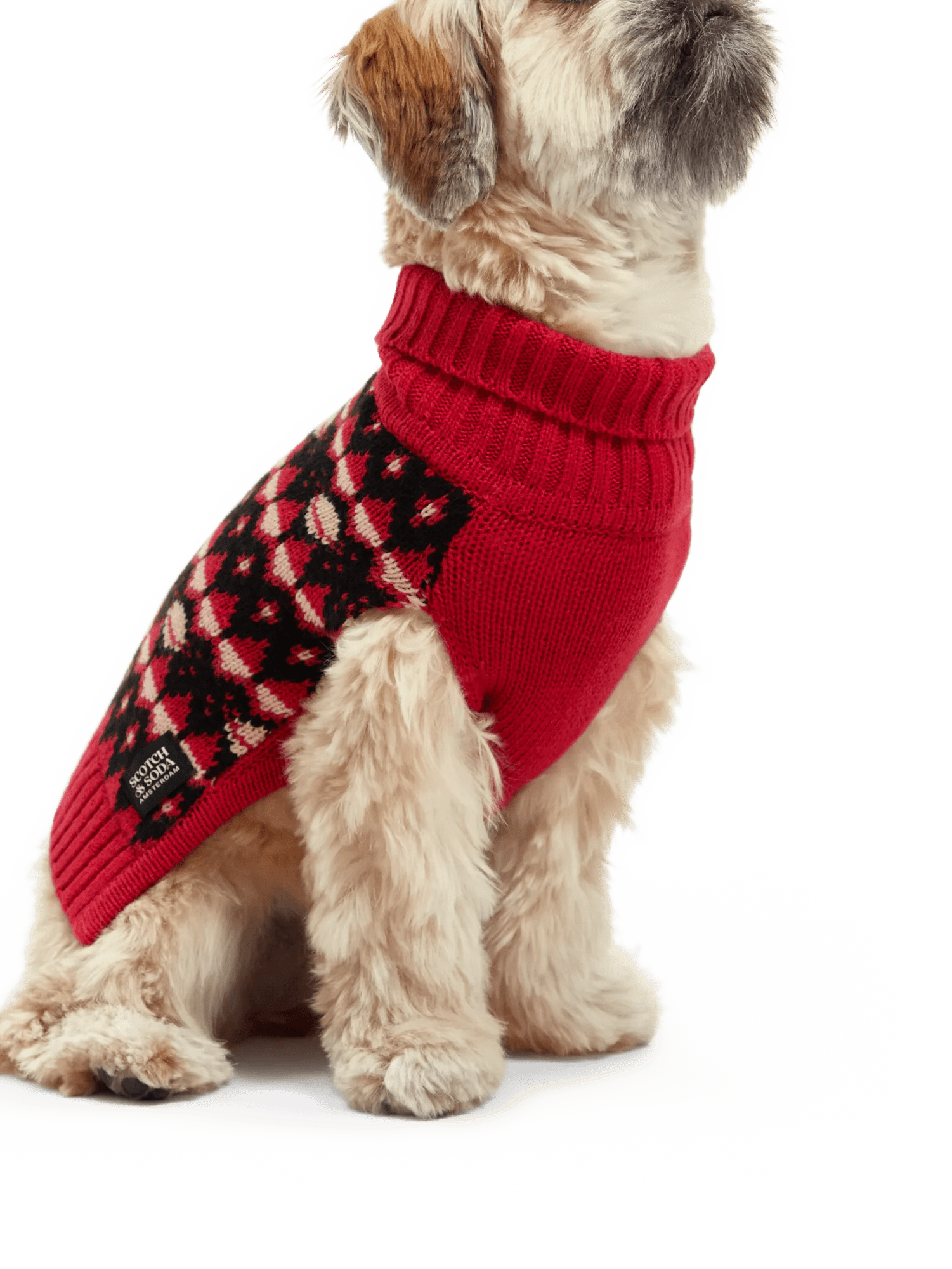 Scotch & Soda Fair isle dog sweater NHD-FNT