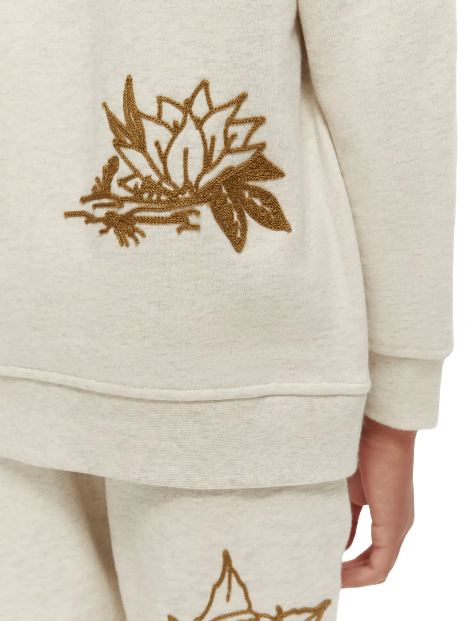 Scotch & Soda Hoodie with placed embroideries in Organic Cotton NHD-DTL2